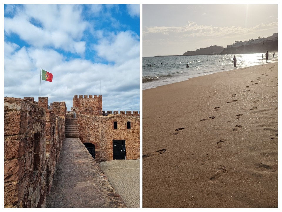 silves